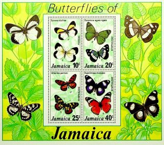 Jamaica Caribbean Butterfly Pieridae Nymphaldae Sheet