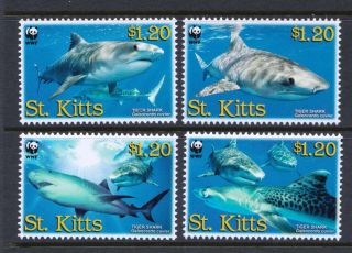 St Kitts 2007 Wwf - Endangered Species - Tiger Shark - Mnh Set - Cat £4 - (4)
