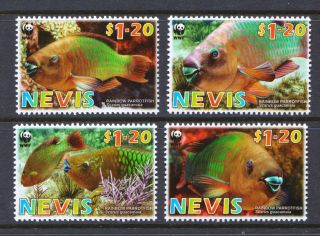 Nevis 2007 Endangered Species.  Rainbow Parrotfish - Mnh Set - Cat £3.  60 - (6)