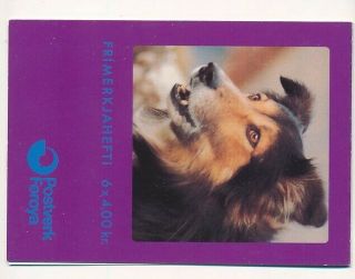 D004094 Dogs Booklet Mnh Faroe Islands