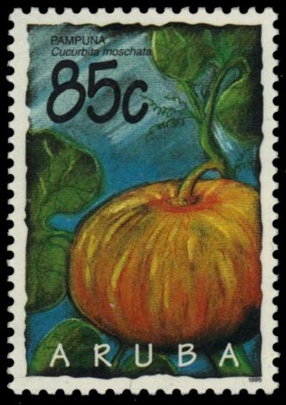 Aruba 125 - Pumpkin " Cucurbita Moschata " (pb18815)