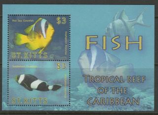 St Kitts - 2010 - Reef Fish Of The Caribbean Mnh Miniature Sheet