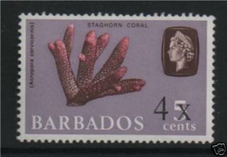 Barbados 1970 Corals Ovpt Sg 398 Mnh