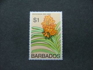 Barbados 1974 Orchids $1 Multicoloured Sg497 Um/mnh