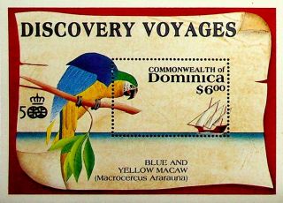 Dominica Caribbean Discovery Voyages Bird Macaw Ship Sea Sheet