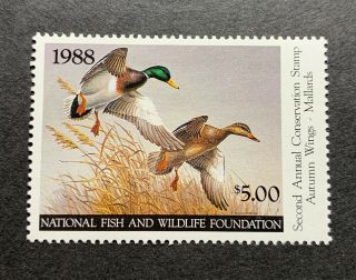 1988 - National Fish & Wildlife Federation Duck Stamp - Og Nh