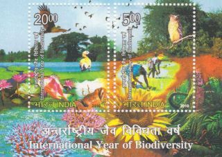 India Modern 2010 Pms - 82 Biodiversity Mini - Sheets X20 Pi Rs 1000