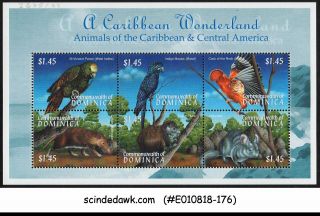 Dominica 2001 - Animals/birds Of Caribbean Min.  Sheet Mnh