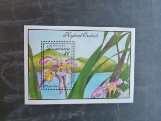 1994 Dominica Orchids Stamp Mini Sheet Mnh