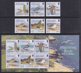 Alderney 2005 Mnh Full Set Minisheet Migrating Birds Part 4 Waders Shore