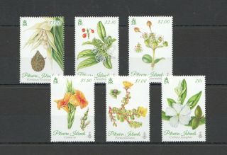 G1045 Pitcairn Islands Flora Flowers 907 - 12 Michel 20 Euro 2set Mnh