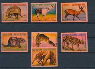 D277298 Wild Animals Of South America Mnh Guinea Ecuatorial Imperforate