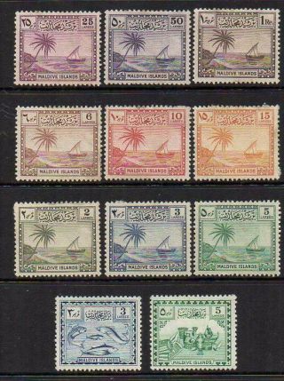 Maldives 1950 - 52 Set Of 11 Looking M.  With Gum