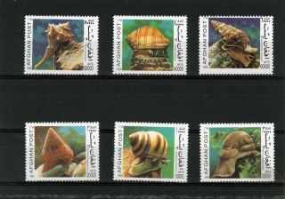 Afghanistan 1999 Mi 1870 - 1875 Snails Set Of 6 Stamps Mnh