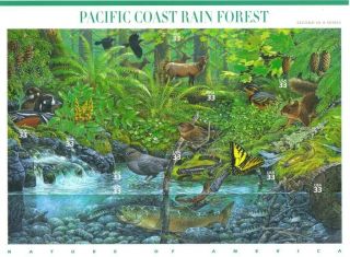 2000 33c Pacific Coast Rain Forest,  Full Sheet Of 10 Stamps,  Mnh