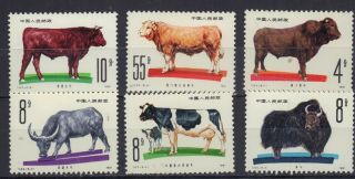 China Prc 1981 Cattle Breeds Dairy Cows Buffalo Pasture Red Cow Sc 1679 - 1684