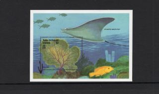 Turks And Caicos 1999 Seafan Atlantic Manta Ray Miniature Sheet Mnh Sc 1275