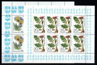 Russia,  1985,  1986,  Two Better Minisheets,  Flowers,  Mnh