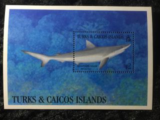 Scott 1063 - 1064 Turks & Caicos Stamp Sheets Mnh Fish