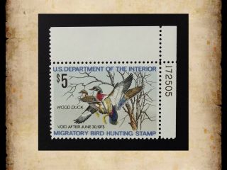 Us Federal Duck Stamp Scott Rw41 $5 1974 Migratory Bird Hunting Mnh