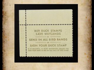 US Federal Duck Stamp Scott RW41 $5 1974 Migratory Bird Hunting MNH 2