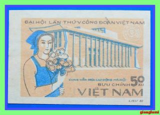 Vietnam Imperf Worker 