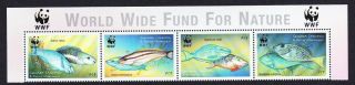 Grenada Carriacou Wwf Caribbean Parrot Fish Top Strip Of 4v With Wwf Logo Mnh