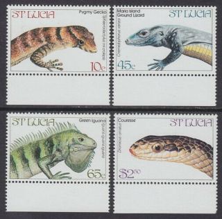 St Lucia - 1984 Endangered Wildlife (4v) - Um / Mnh