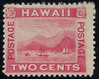 Hawaii 81 Rose With Strong Offset On Back Gum