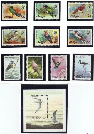 Stamps Birds Antigua Mnh S/s Terns Scott 591 - - 1980 Scott 536 - 539 Ref 1156 810