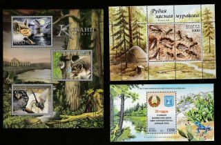 Belarus 2002 - 2012 Flora Fauna Nature Mnh Souvenir Sheets Lot,  Cv 11.  50 Euro