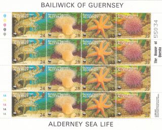 Alderney 1992 Sea - Life 4 Sets In A Minature Pane U/m