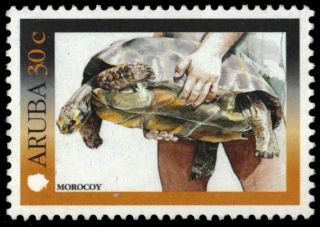 Aruba 199 - Tourism " Land Tortoise " (pb18912)