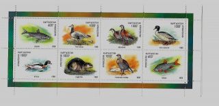 Kyrgystan Sc 121 Nh Issue Of 1998 Minisheet - Animals Birds Marine Life
