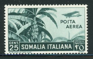 Italian Area - Somalia - Mh Selections: Scott C7 25c Slate Green Cv$3,
