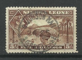 Sierra Leone 1938 Sg 198,  5/ - Red Brown,  Very Fine.  [1187]