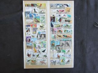 Thematics - Birds - Various And Stamps (15)