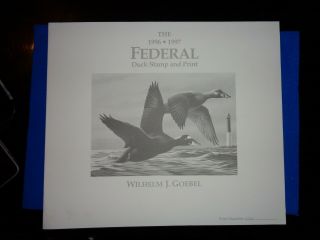 1996 - 1997 Us Duck Stamp Print Signed By Artist