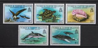 Turks & Caicos 1979 Endangered Wildlife Turtle Whales - Mnh Set - Cat £5 - (123)