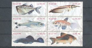 (854379) Fish,  Brazil