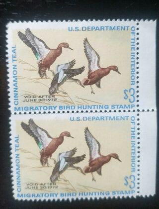 (2) 1971 U.  S.  Federal Duck Stamps Cinnamon Teal.