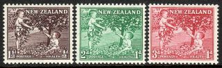 Zealand B49 - B51,  Mnh.  Health.  Children Picking Apples,  1956
