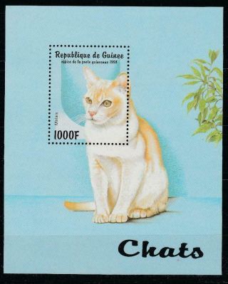 Guinea Cats 1998 Mi.  Bl.  522 Mnh Souvenir Sheet