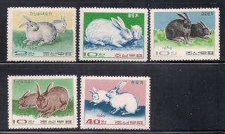 Korea.  1969 Sc 869 - 73 Rabbits Mnh Og (3 - 3150)