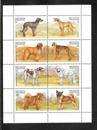 Kyrgyzstan Sc 138 Nh Issue Of 2000 - Minisheet - Dogs