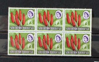 S Rhodesia: Lovely Unmounted Block Of 6 1/3d Aloe,  Sg 100,  Cat £18 (sr 8)