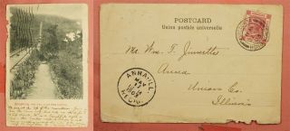 1903 Hong Kong Postcard Victoria To Usa