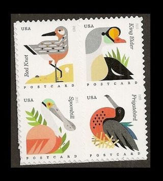 Us 4991 - 4994 4994a Coastal Birds Postcard Block Set (from Sheet Of 20) Mnh 2015