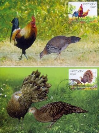 Maxi Maximum Cards Of Vietnam 2013 : Join Issue With Singapore / Bird