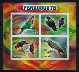 M1298 Mnh 2014 Imperf Souvenir Sheet Of 4 Diff Birds Colorful Parrot & Parakeets